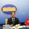 Заместитель министра иностранных дел То Ань Зунг (Фото: ВИА)