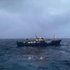 Российское судно “СОКОЛ” с 6 членами экипажа на борту и водоизмещением в 1000 тонн дрейфовало по течению у побережья Вьетнама после того, как 7 декабря вышел из строя двигатель (Фото: ВИА)