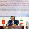 На встрече выступает заместитель министра промышленности и торговли Данг Хоанг Ань. (Фото: ВИА)