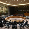 Заседание СБ ООН в Нью-Йорке, США (Фото: AFP / VNA)