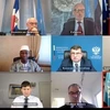 Посол Данг Динь Куи (первый справа в нижнем ряду), глава вьетнамской миссии при ООН, присутствует на онлайн-заседании Совета Безопасности ООН (Фото: ВИА)