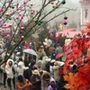 Туристы посещают достопримечательности Сапы во время новогодних праздников (Фото: ВИА)