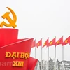 Национальный и партийный флаги вывешены в честь XIII всевьетнамского съезда КПВ (Фото: ВИА)