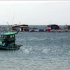 Рыбоводные фермы на берегу моря Антхой в городе Фукуок в городе Киенжанг (Фото: ВИА)