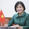 Посол Ле Тхи Туйет Май, глава вьетнамской миссии в Женеве (Фото: ВИА)
