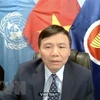 Посол, глава постоянного представительства Вьетнама при ООН Данг Динь Куи. (Фото: ВИА)