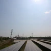 Солнечная электростанция Хаужанга имеет 79.000 солнечных панелей и, как ожидается, будет приносить около 80 млрд. донгов годового дохода (Фото: ВИА)