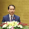 Председатель комитета НС по правовым вопросам Хоанг Тхань Тунг (Фото: ВИА)