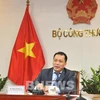 Заместитель министра промышленности и торговли Данг Хоанг Ан. (Фото: ВИА)