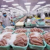 Предприятие по экспорту морепродуктов в Объединенные Арабские Эмираты. (Фото: Минпромторг)