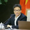 Заместитель премьер-министра Ву Дык Дам (Фото: ВИА)