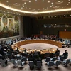 Заседание СБ ООН в Нью-Йорке (Фото: ВИА)