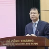 Заместитель министра промышленности и торговли Вьетнама До Тханг Хай. (Фото: ВИА)