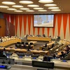 На итоговом заседании СБ ООН. (Фото: ВИА)