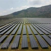 Поле солнечных батарей в Анжанге (Фото: ВИA)