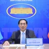 Министр иностранных дел Буй Тхань Шон (Фото: ВИА)