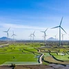 Энергетическая компания Вьетнама (EVN) планирует мобилизовать 32 млрд. кВтч возобновляемой энергии. (Фото: thanhnien.vn) 