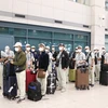 Группа вьетнамских рабочих прибыла в аэропорт Инчхон, Южная Корея. (Фото: корр. ВИА в Корее)