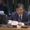 Посол Данг Динь Куи, глава постоянного представительства Вьетнама при Организации Объединенных Наций (Фото: ВИА)