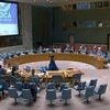 Заседание Совета Безопасности ООН о ситуацим в Центральной Африке. (Фото: ВИА)