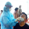 Взятие пробы для тестирования на коронавирус. (Фото: ВИА)