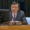 Посол Данг Динь Куи, глава постоянного представительства Вьетнама при ООН. (Фото: ВИА)