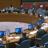 Заседание Совета Безопасности ООН - Иллюстративное изображение (Фото: ВИА)