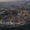 Вид на израильское поселение Текоа на оккупированном Западном берегу 17 ноября 2020 г. (Фото: AFP /ВИA) 