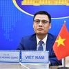 Заместитель министра иностранных дел Вьетнама Данг Хоанг Жанг (Фото: ВИА)