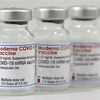 Вакцина Moderna от COVID-19. (Фото: AFP/ВИA)
