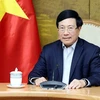 Заместитель премьер-министра Фам Бинь Минь (Фото: ВИА)