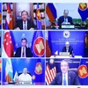 Министры иностранных дел стран приняли участие в специальном совещании министров иностранных дел АСЕАН - Россия в видеоформате. (Фото: Лам Кхань/ВИА)
