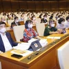 Депутаты на первой сессии Национального собрания 15-го созыва. (Фото: ВИА)