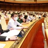 Депутаты голосуют за утверждение Резолюции о структуре количественного состава правительства. (Фото: ВИА)