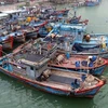 Рыболовные суда Вьетнама в городе Дананг (Фото: ВИA)