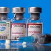 Три вакцины против COVID-19. (Фото: ВИА)