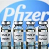 Вакцина Pfizer против COVID-19 (Фото: AFP / ВИА)