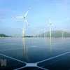 Проекты ветровой и солнечной энергетики в пров. Ниньтхуане. (Фото: ВИА)