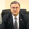 Заместитель председателя Совета Федерации Константин Косачев. (Фото: iacis.ru)