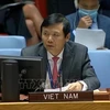  Посол Данг Динь Куи, глава постоянного представительства Вьетнама при Организации Объединенных Наций (Фото: ВИА)
