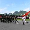 Проходит делегация Вьетнамской народной армии мимо главного трибуна. (Фото: qdnd.vn)