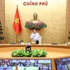 Премьер-министр Фам Минь Тьинь выступил на заседании. (Фото: ВИА)