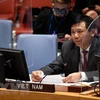 Посол Данг Динь Куи, глава постоянного представительства Вьетнама при ООН. (Фото: ВИА)