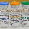 Вакцина Наноковакс. (Фото: ВИА)