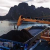 Погрузка уголя на корабль для перевозки в провинции Куангнинь (Фото: ВИА)