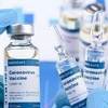 Дозы вакцины COVID-19 (Фото: AFP) 