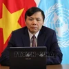 Посол Данг Динь Куи, глава делегации Вьетнама в ООН. (Фото: ВИА)