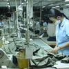 Рабочие швейной фабрики во Вьетнаме. (Фото: ВИА) 