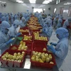 Производство ананасовых консервов на экспорт на фабрике компании Анжанг (провинция Анжанг). (Фото: Ву Шинь/ВИА)