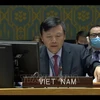 Посол Данг Динь Куи, глава делегации Вьетнама при ООН. (Фото: ВИА)